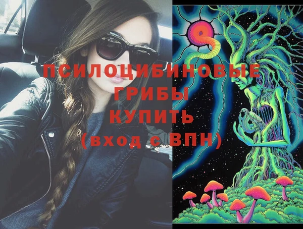 прущий лед Аркадак