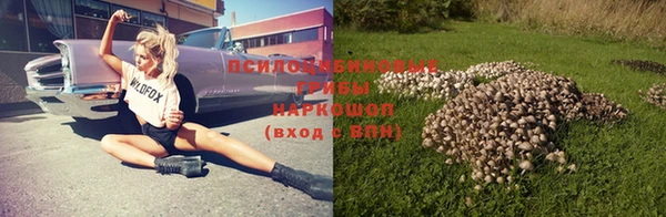 прущие крисы Армянск