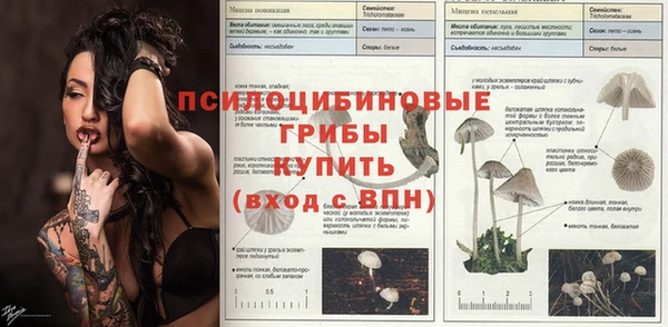 прущий лед Аркадак