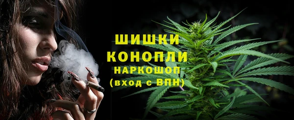 СК Богородицк