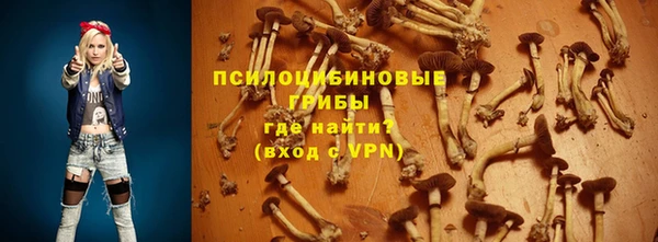 прущие крисы Армянск